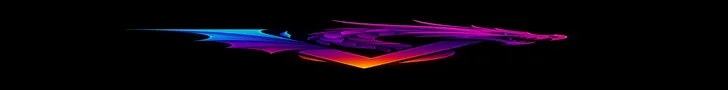 VorteX Dragon Nest Banner